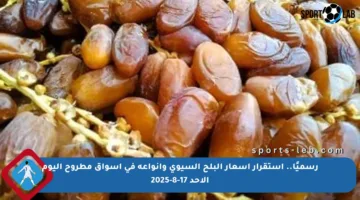 رسميًا.. استقرار أسعار البلح السيوي وأنواعه في أسواق مطروح اليوم الأحد 17-8-2025